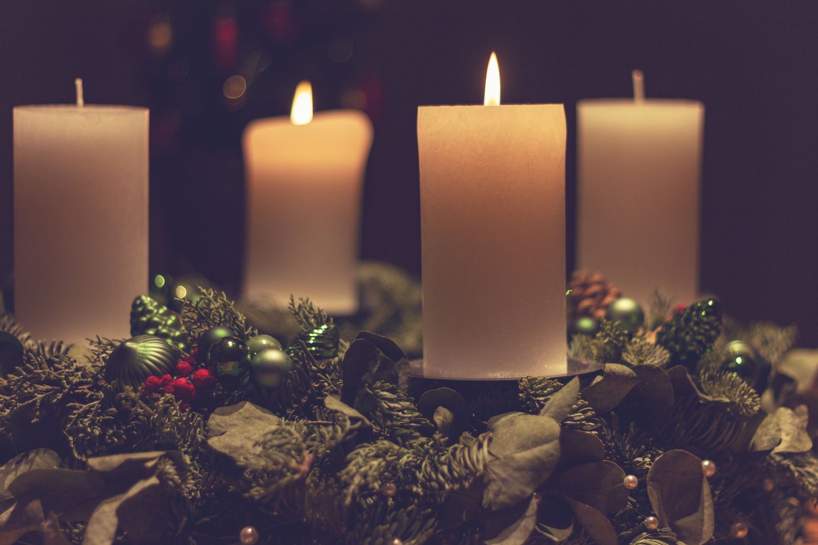 Advent candles burning among green spruce branches